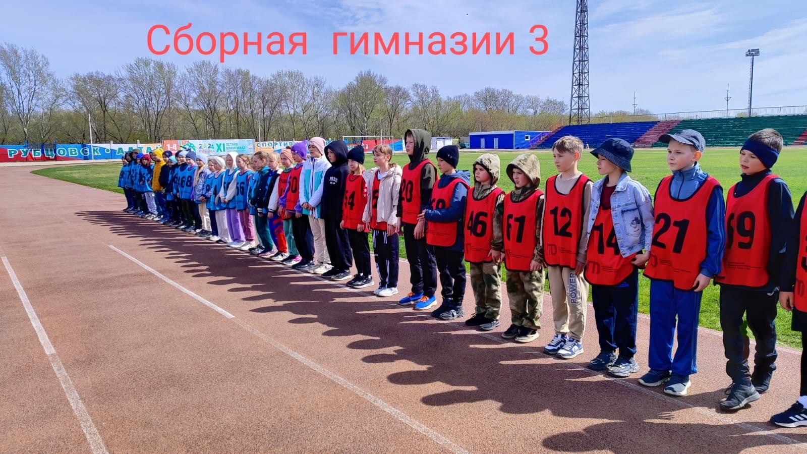 Фестиваль ГТО: Спортивные достижения гимназистов.